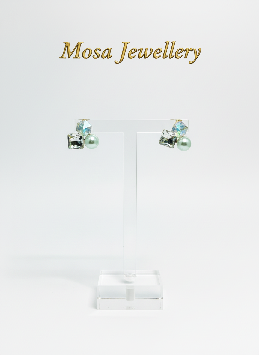Luxury Earrings 178