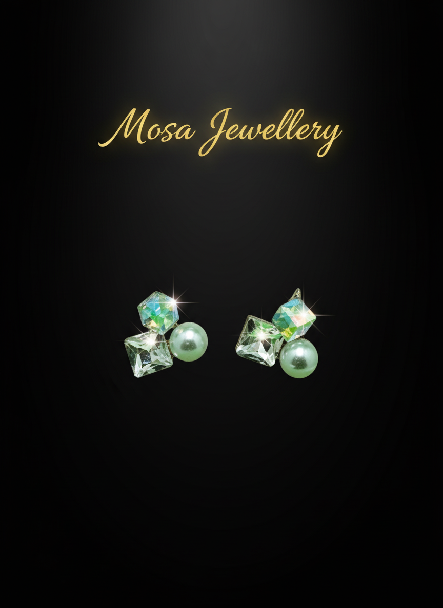 Luxury Earrings 178